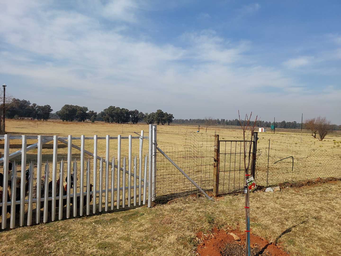 6 Bedroom Property for Sale in Valley Settlements A H Gauteng