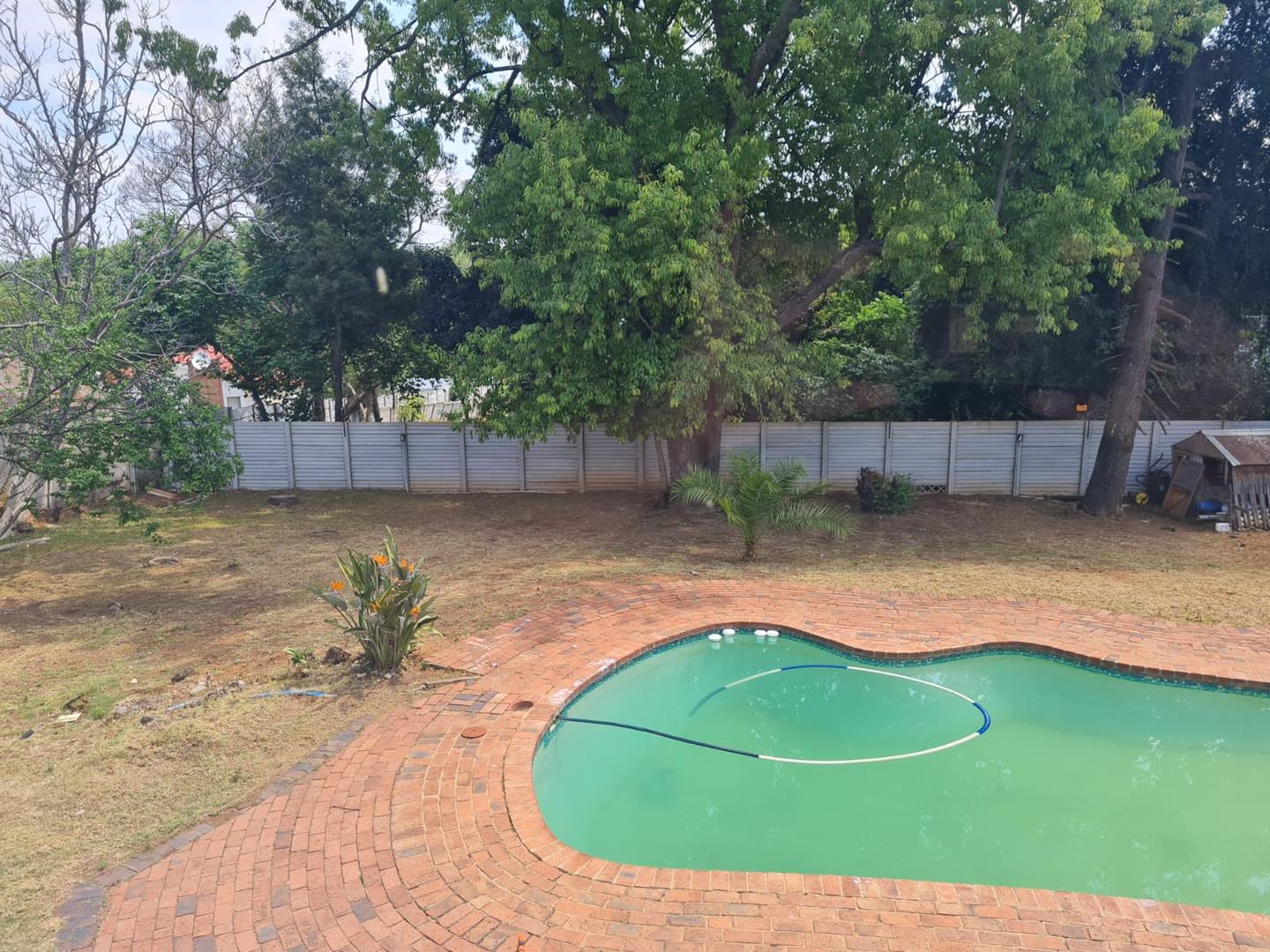 To Let 5 Bedroom Property for Rent in Bramley Gauteng