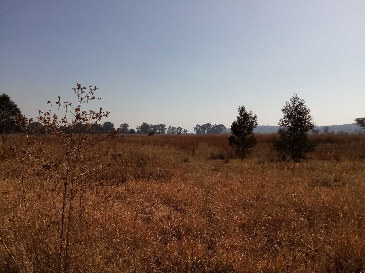 0 Bedroom Property for Sale in Shere Gauteng