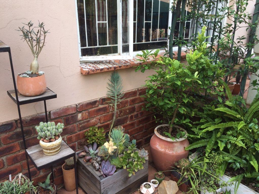 To Let 4 Bedroom Property for Rent in Melville Gauteng
