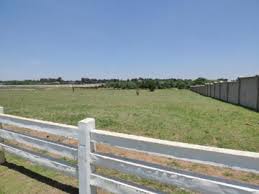 Commercial Property for Sale in Dunblane Lifestyle and Equestrian Estate Gauteng