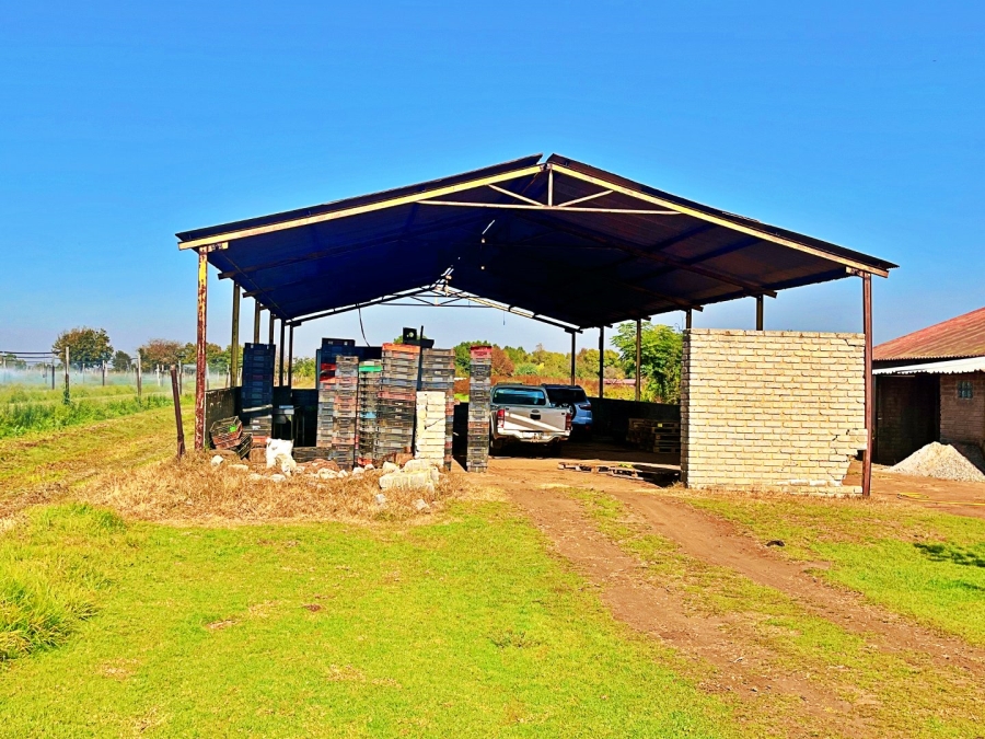  Bedroom Property for Sale in Riversdale Gauteng