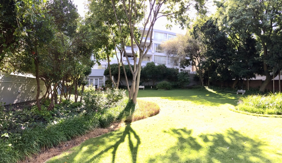 To Let 1 Bedroom Property for Rent in Illovo Gauteng