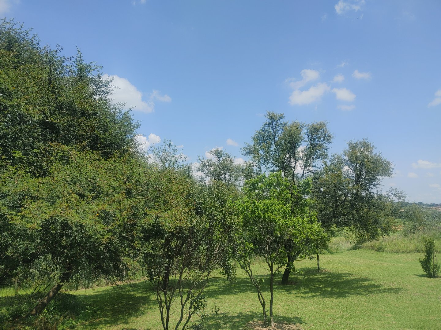 2 Bedroom Property for Sale in Jackal Creek Golf Estate Gauteng