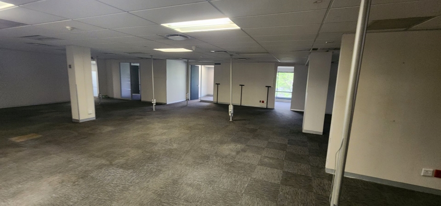 To Let commercial Property for Rent in Nieuw Muckleneuk Gauteng