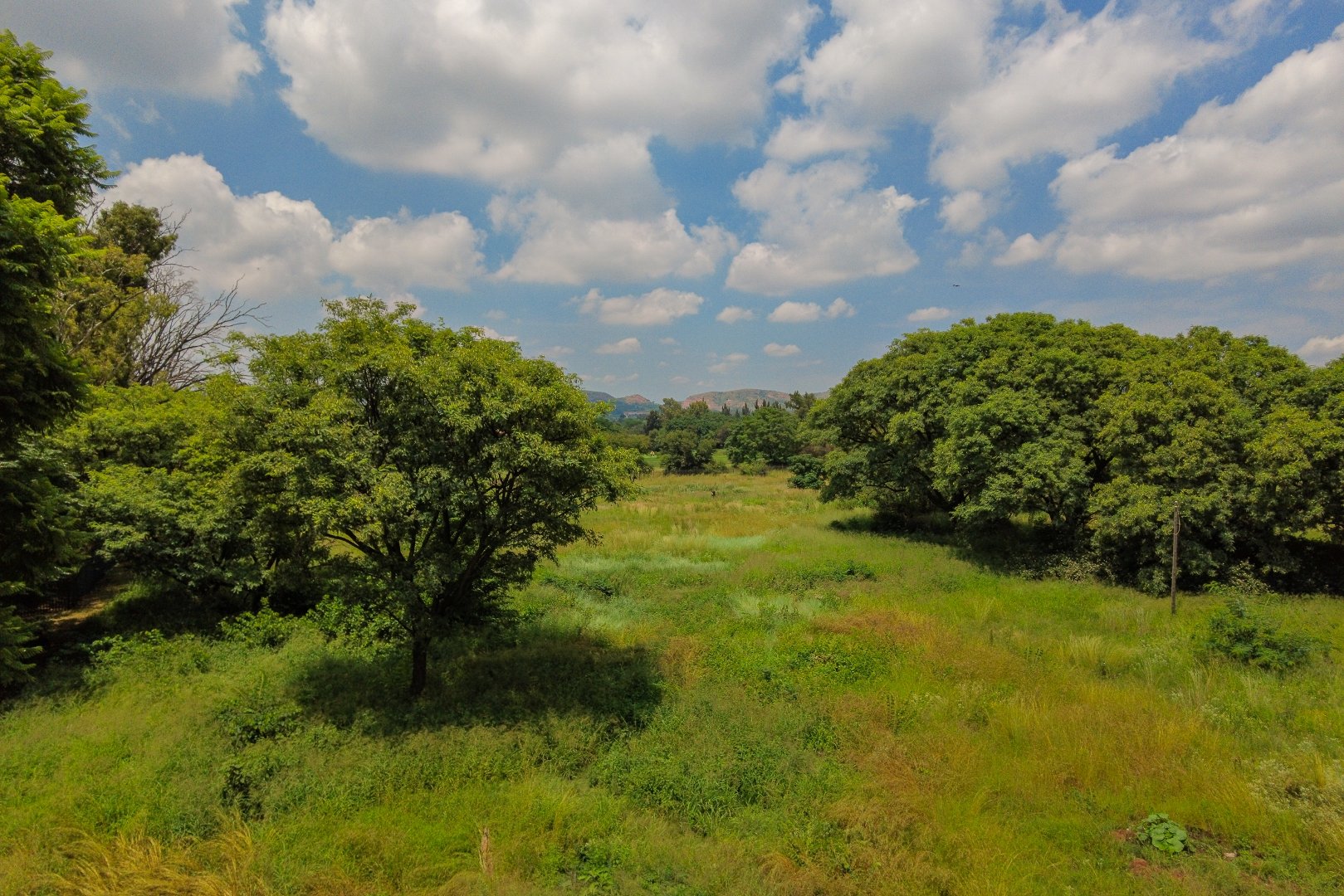 0 Bedroom Property for Sale in Theresa Park Gauteng