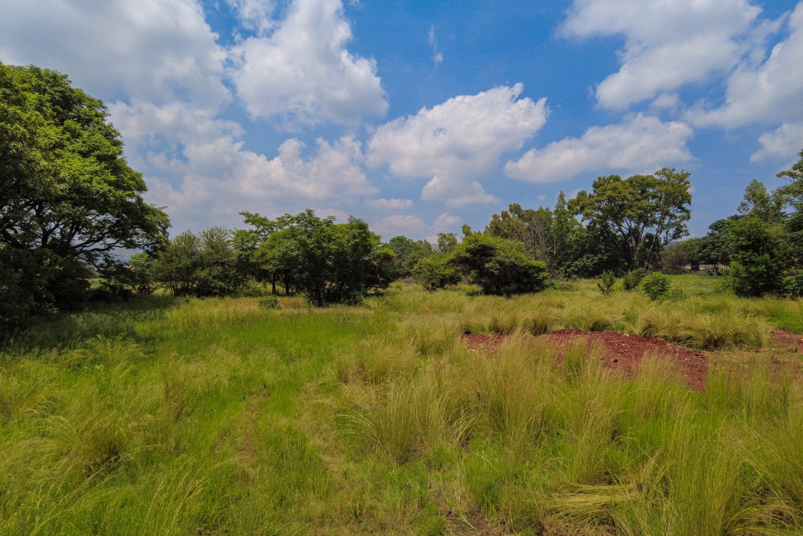 0 Bedroom Property for Sale in Theresa Park Gauteng