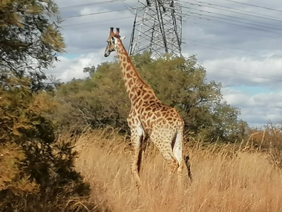  Bedroom Property for Sale in Dinokeng Game Reserve Gauteng