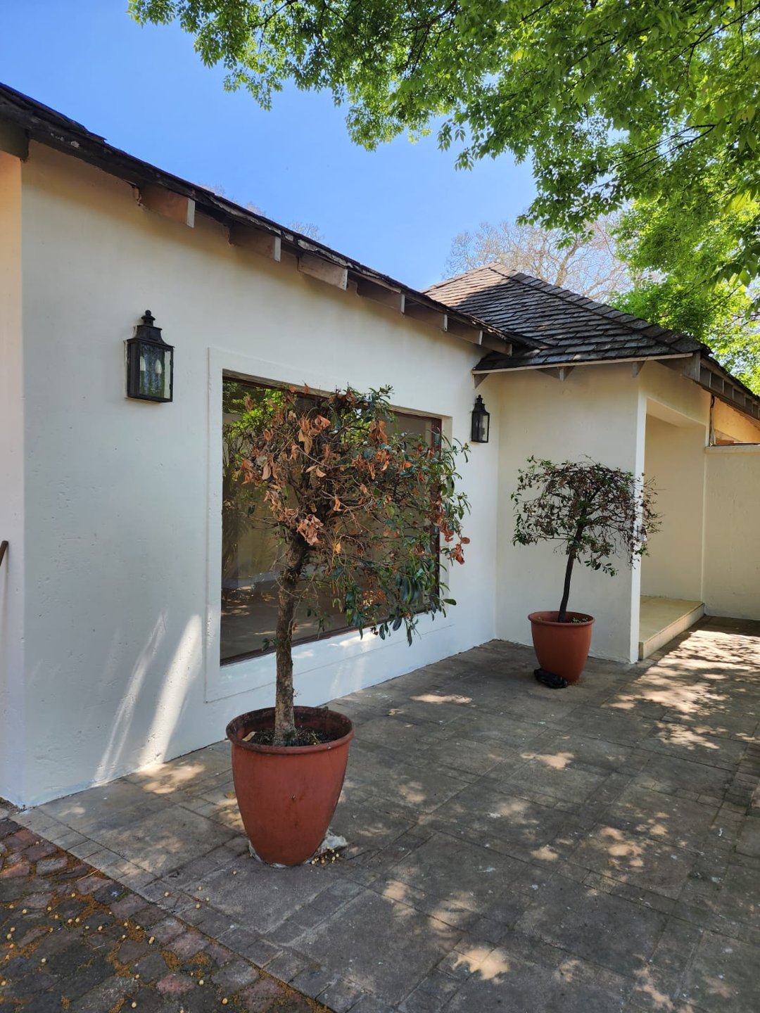 To Let 5 Bedroom Property for Rent in Atholl Gauteng