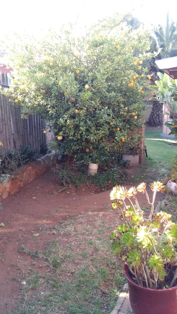 4 Bedroom Property for Sale in Sophiatown Gauteng