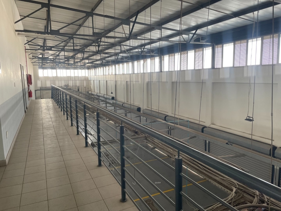 To Let commercial Property for Rent in Midridge Park Gauteng