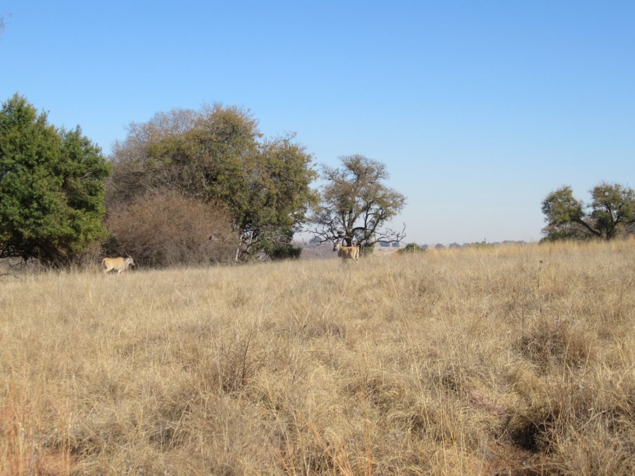  Bedroom Property for Sale in Bronkhorstspruit Rural Gauteng