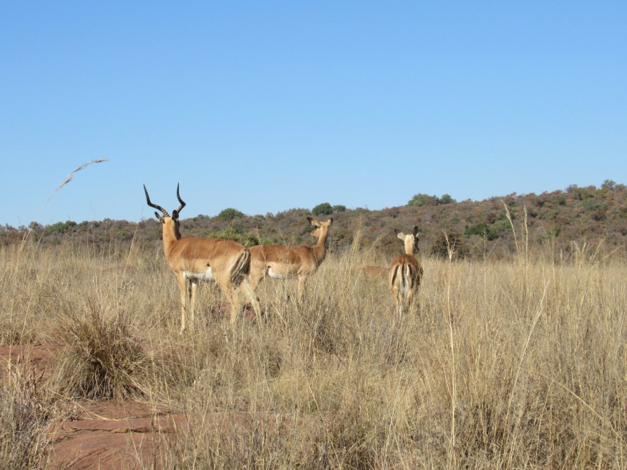  Bedroom Property for Sale in Bronkhorstspruit Rural Gauteng