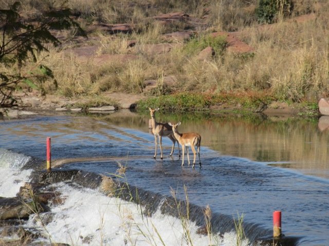  Bedroom Property for Sale in Bronkhorstspruit Rural Gauteng