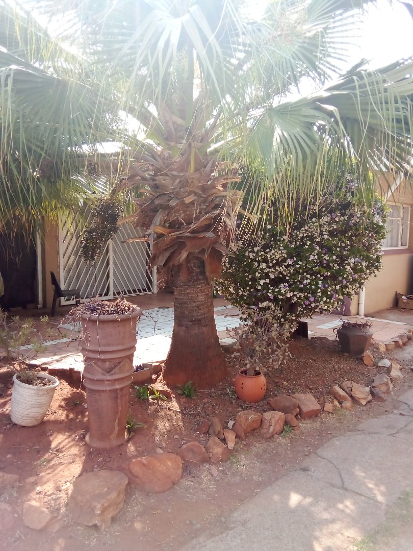 3 Bedroom Property for Sale in Sophiatown Gauteng