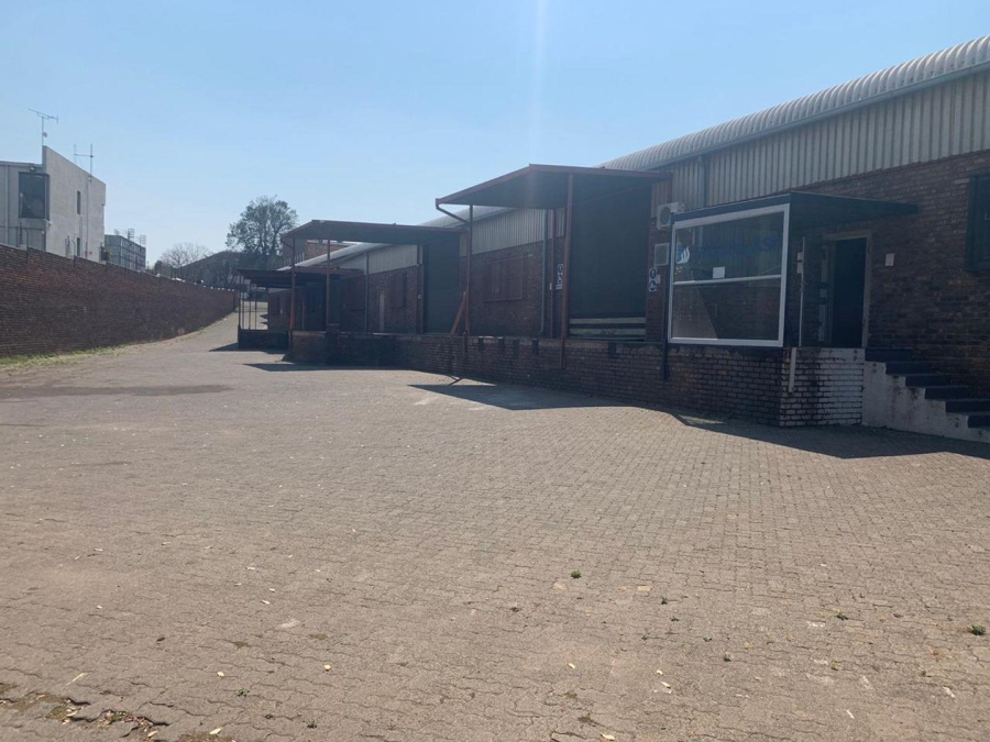 To Let commercial Property for Rent in Eastgate Gauteng