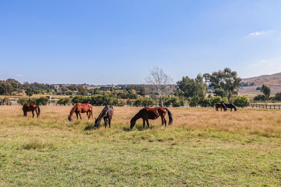 3 Bedroom Property for Sale in Hartzenbergfontein Gauteng