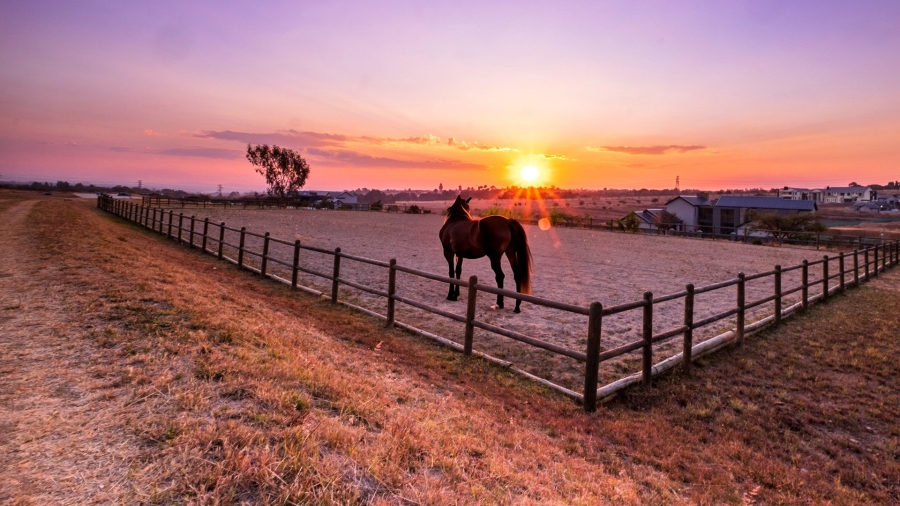  Bedroom Property for Sale in Blue Hills Equestrian Estate Gauteng