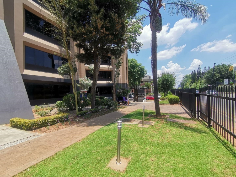 To Let commercial Property for Rent in Parktown Gauteng