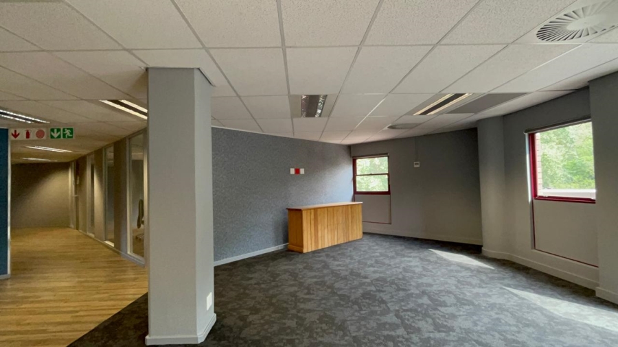 To Let commercial Property for Rent in Parktown Gauteng