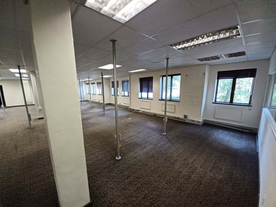 To Let commercial Property for Rent in Sandhurst Gauteng