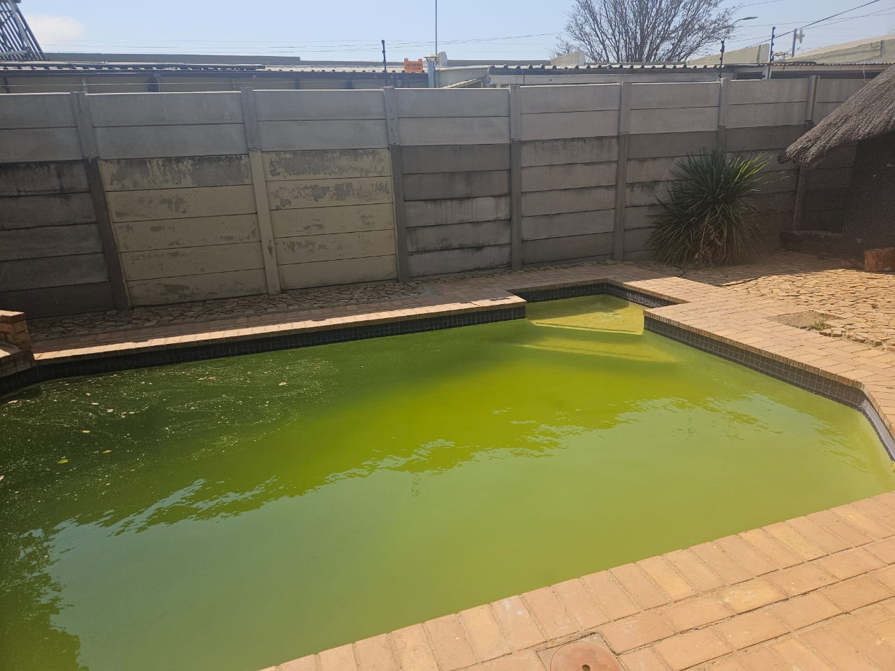 3 Bedroom Property for Sale in Randpoort Gauteng