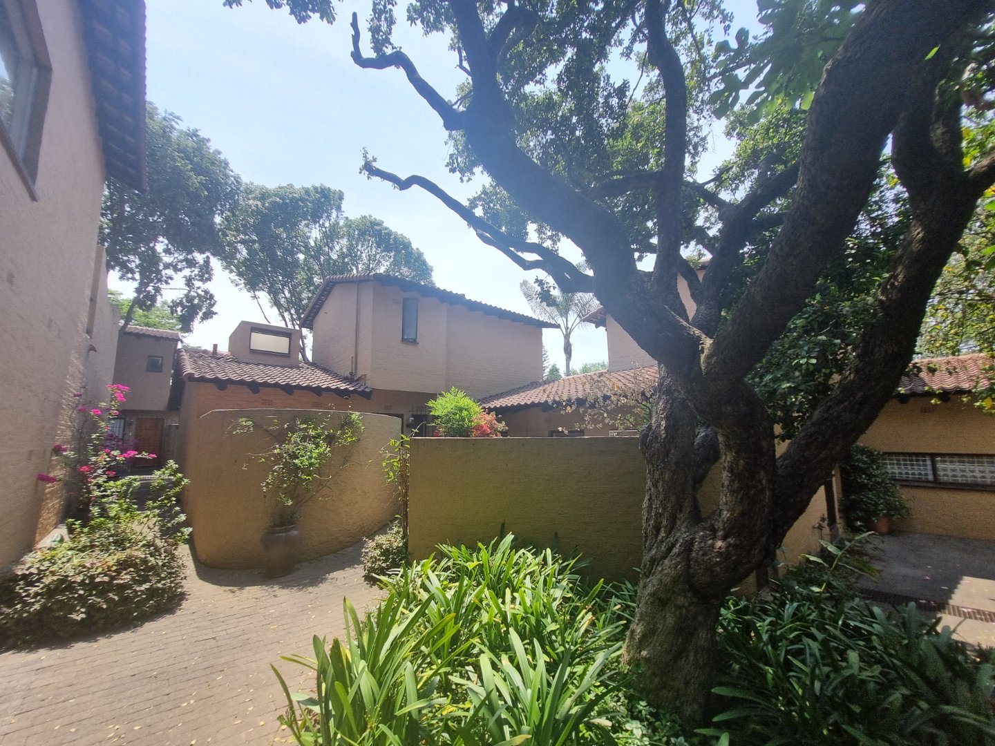 To Let 3 Bedroom Property for Rent in Sandown Gauteng