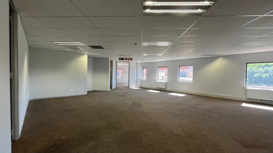 To Let commercial Property for Rent in Parktown Gauteng