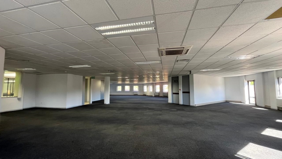 To Let commercial Property for Rent in Parktown Gauteng