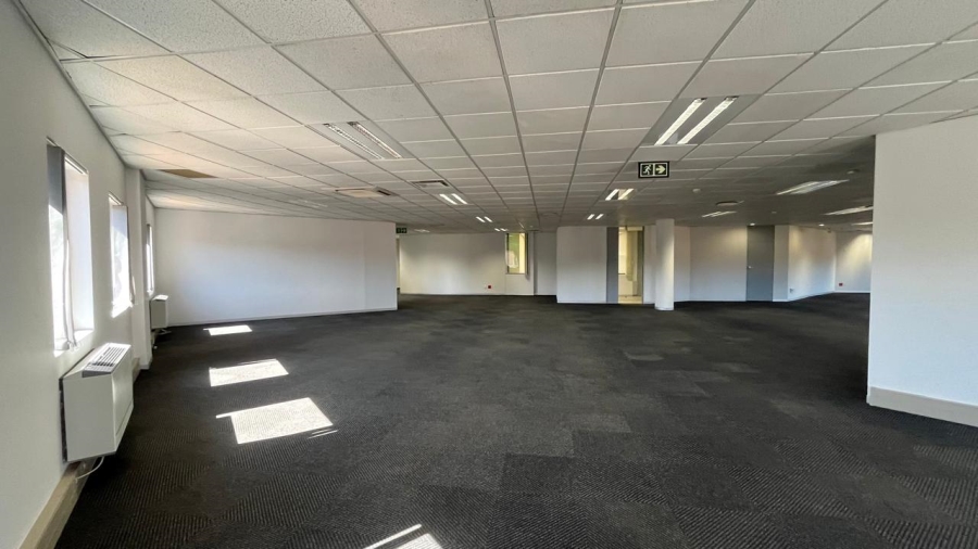 To Let commercial Property for Rent in Parktown Gauteng