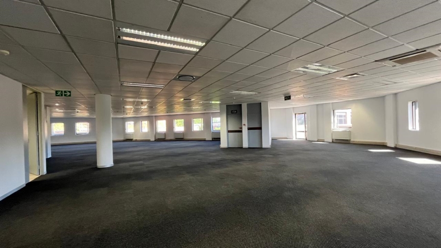 To Let commercial Property for Rent in Parktown Gauteng