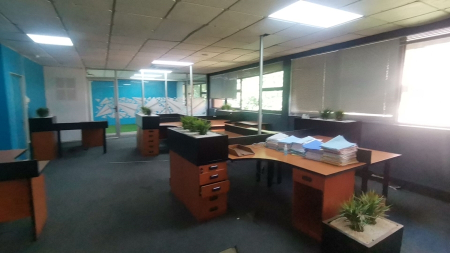 To Let commercial Property for Rent in Upper Houghton Gauteng