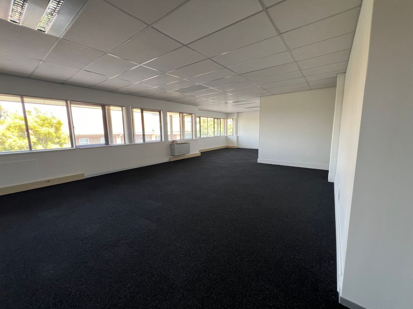 To Let commercial Property for Rent in Illovo Gauteng