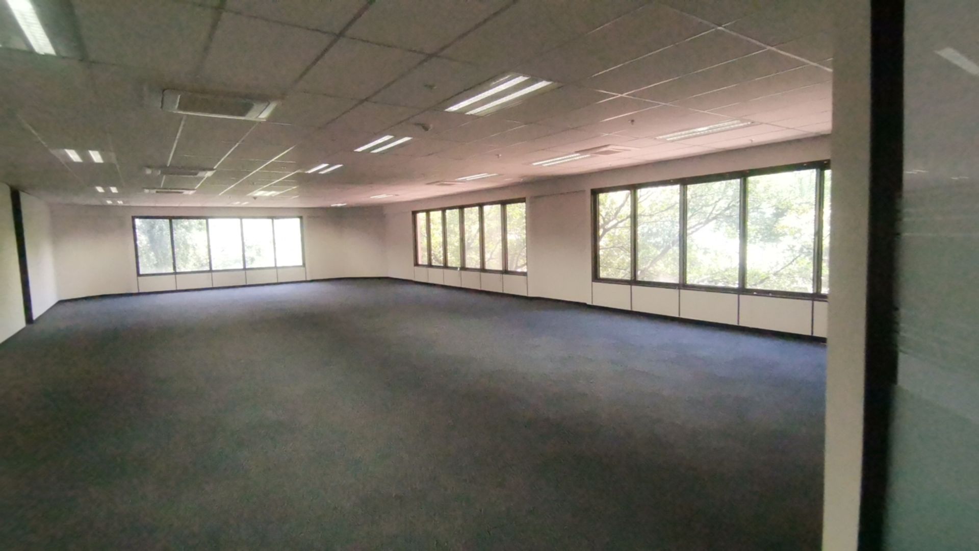 To Let commercial Property for Rent in Parktown Gauteng