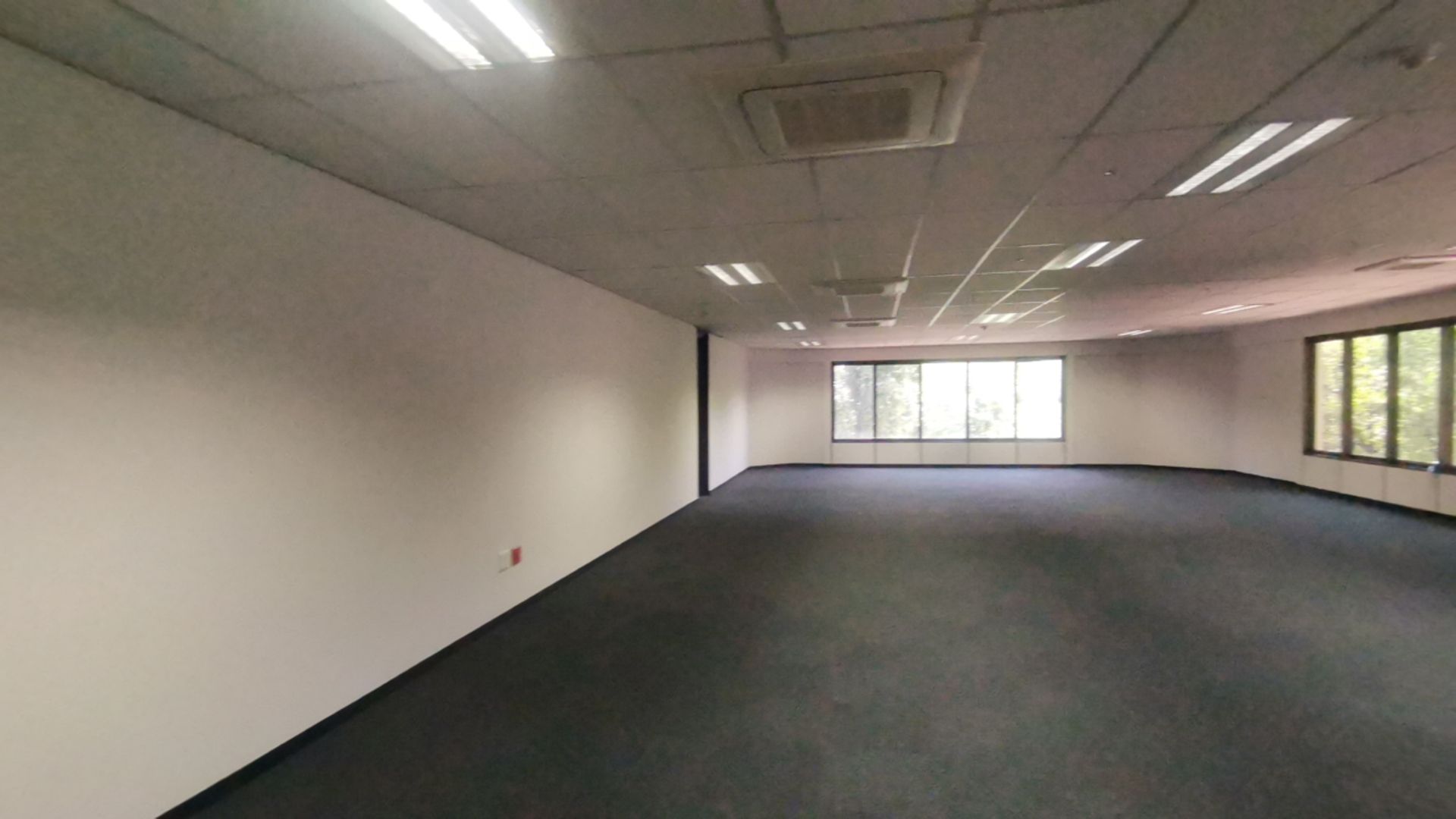 To Let commercial Property for Rent in Parktown Gauteng