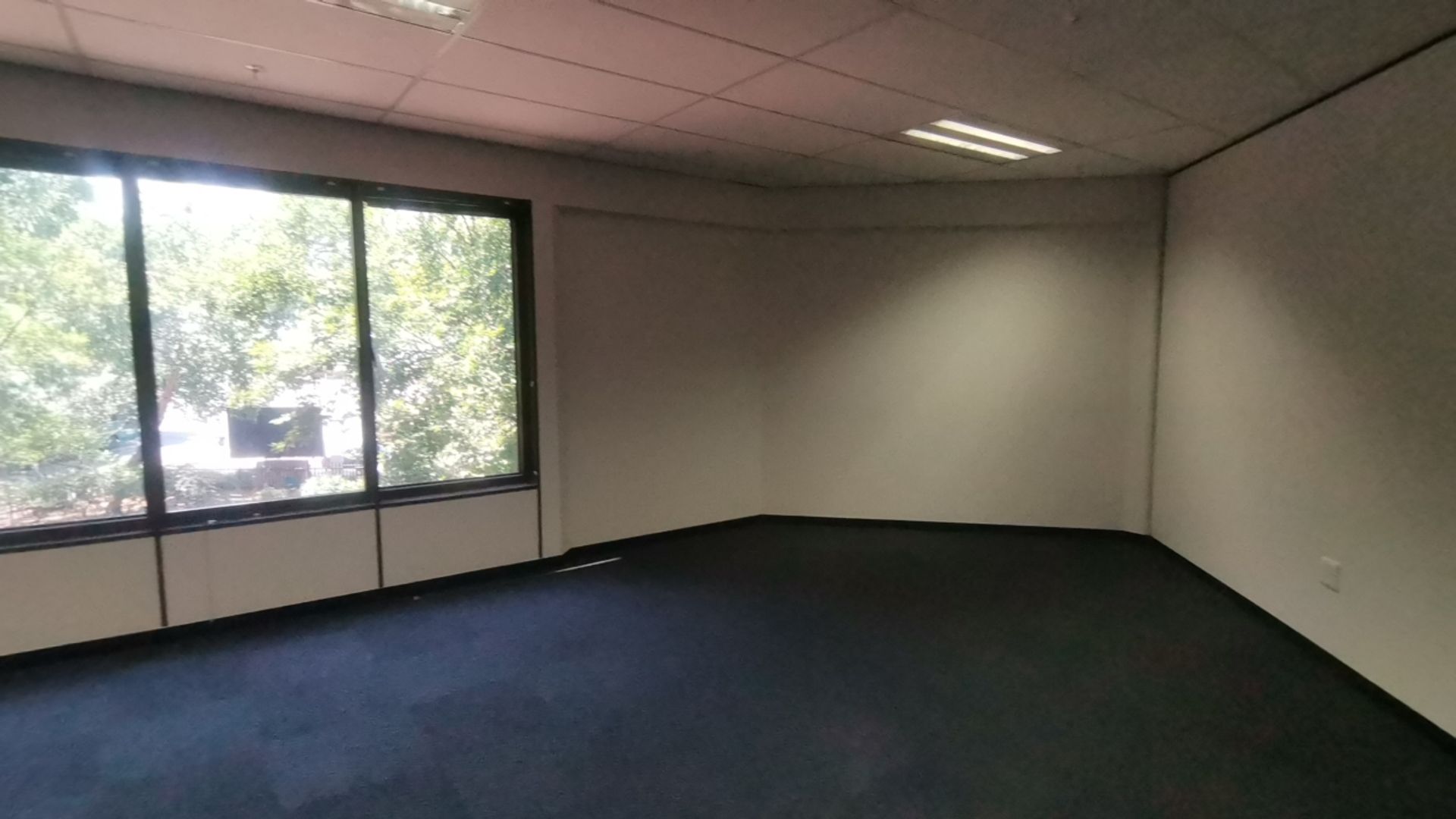 To Let commercial Property for Rent in Parktown Gauteng