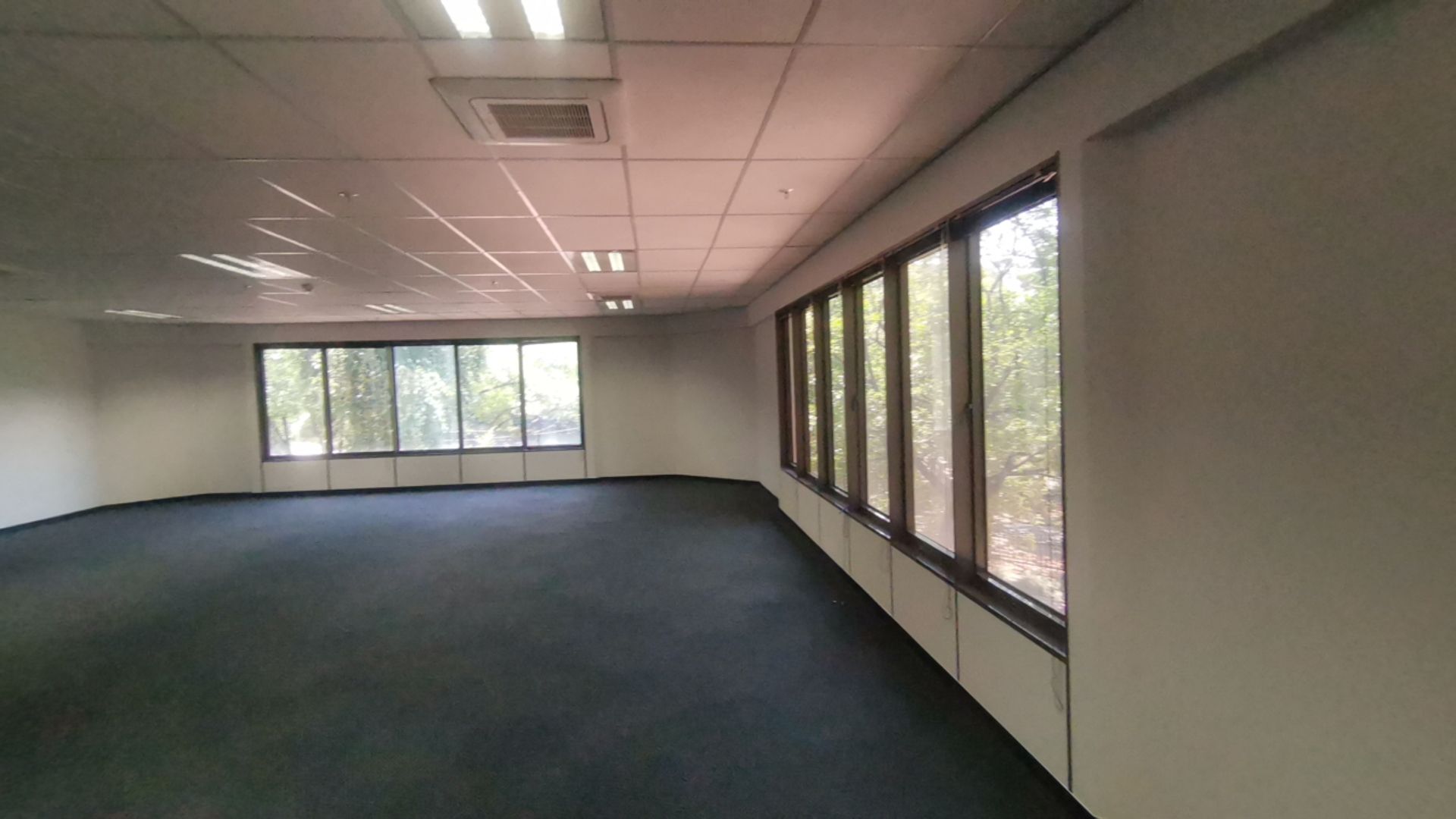 To Let commercial Property for Rent in Parktown Gauteng