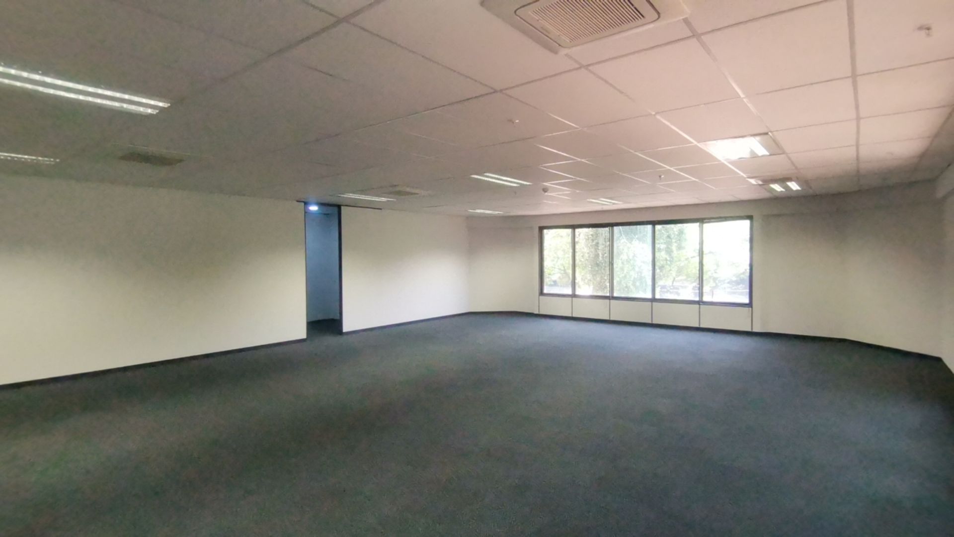 To Let commercial Property for Rent in Parktown Gauteng