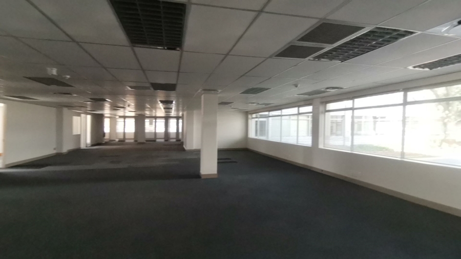 To Let commercial Property for Rent in Illovo Gauteng