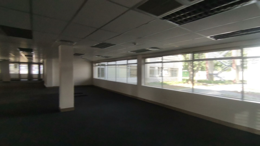 To Let commercial Property for Rent in Illovo Gauteng