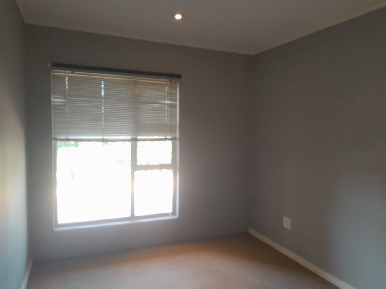 To Let 3 Bedroom Property for Rent in Constantia Kloof Gauteng