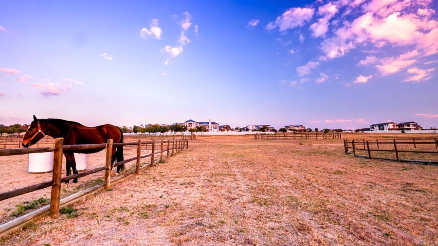  Bedroom Property for Sale in Blue Hills Equestrian Estate Gauteng