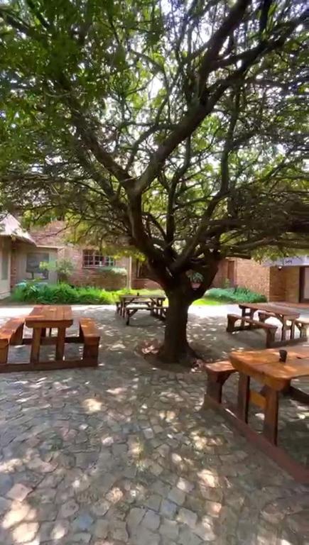 14 Bedroom Property for Sale in Carlswald Gauteng