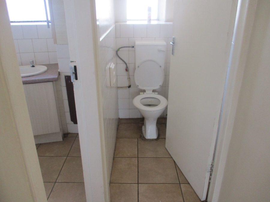 To Let 3 Bedroom Property for Rent in Arcadia Gauteng