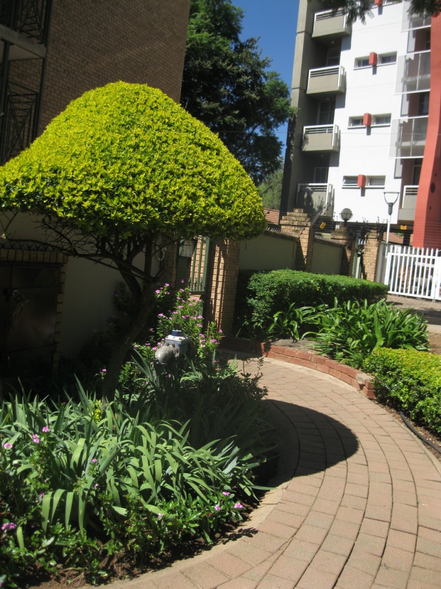 To Let 2 Bedroom Property for Rent in Hatfield Gauteng