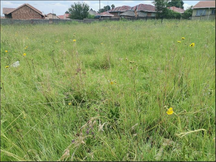 Commercial Property for Sale in Birchleigh North Gauteng