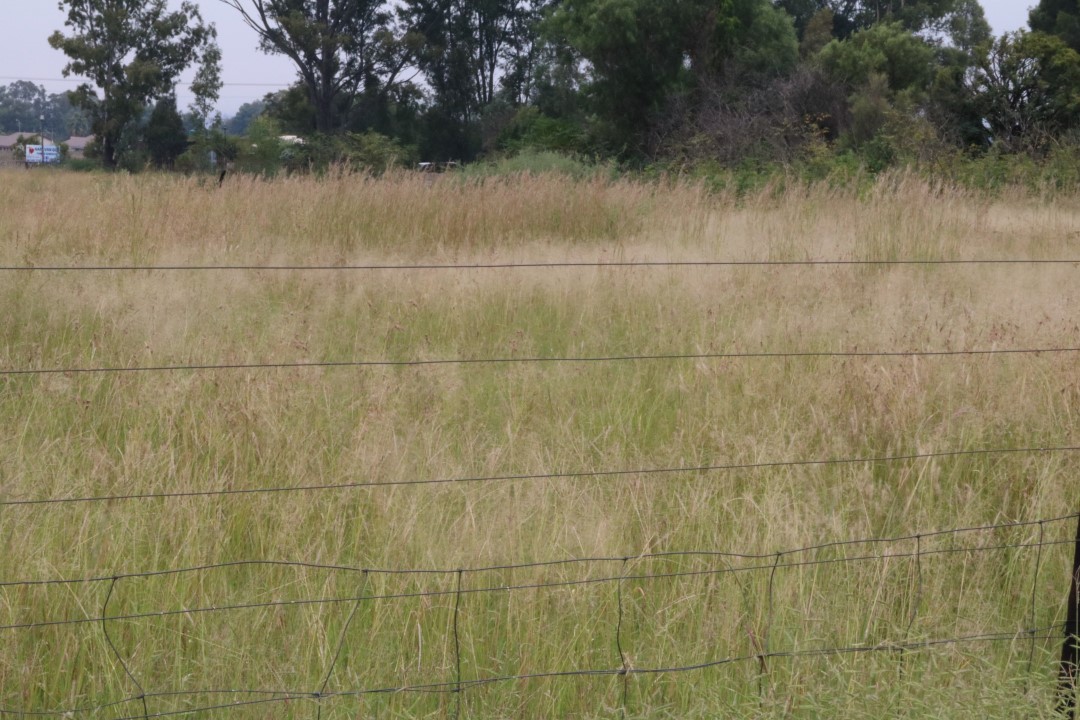 Commercial Property for Sale in Riversdale Gauteng