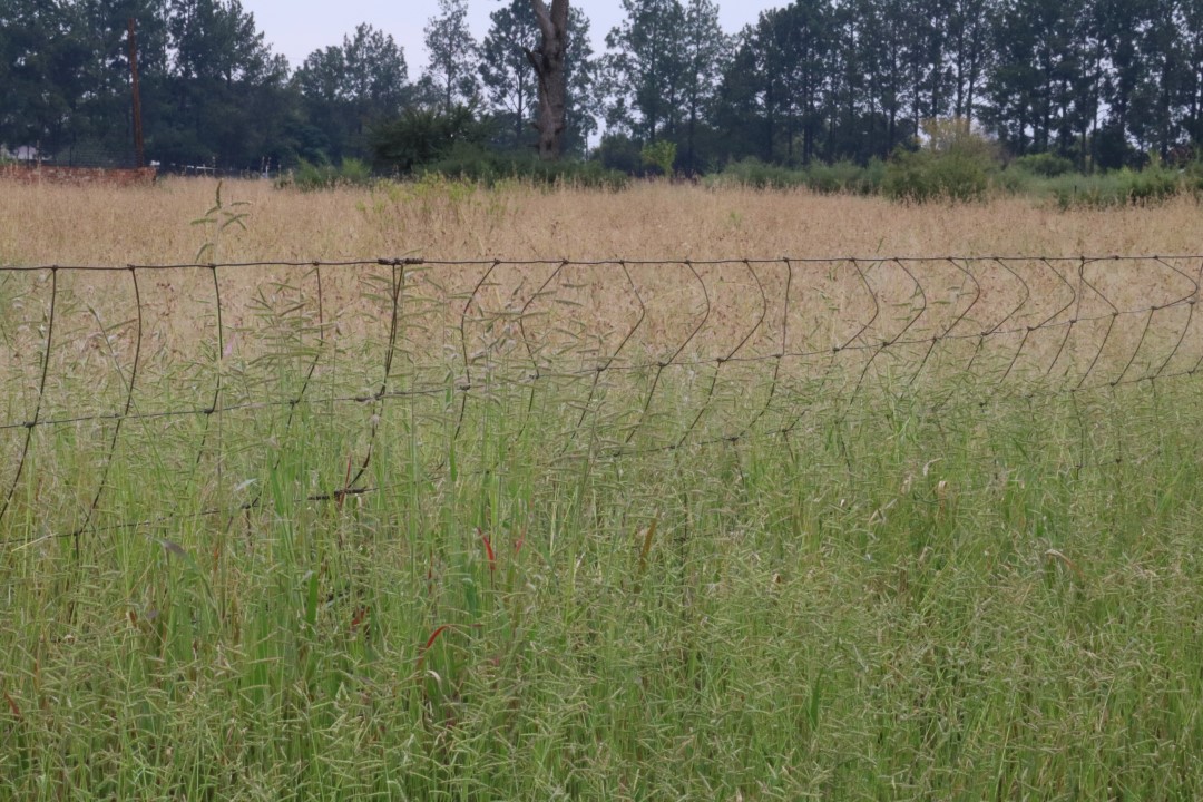 Commercial Property for Sale in Riversdale Gauteng