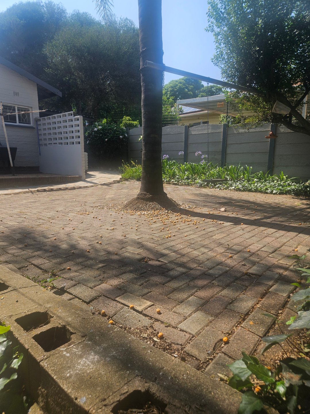 4 Bedroom Property for Sale in Cresta Gauteng