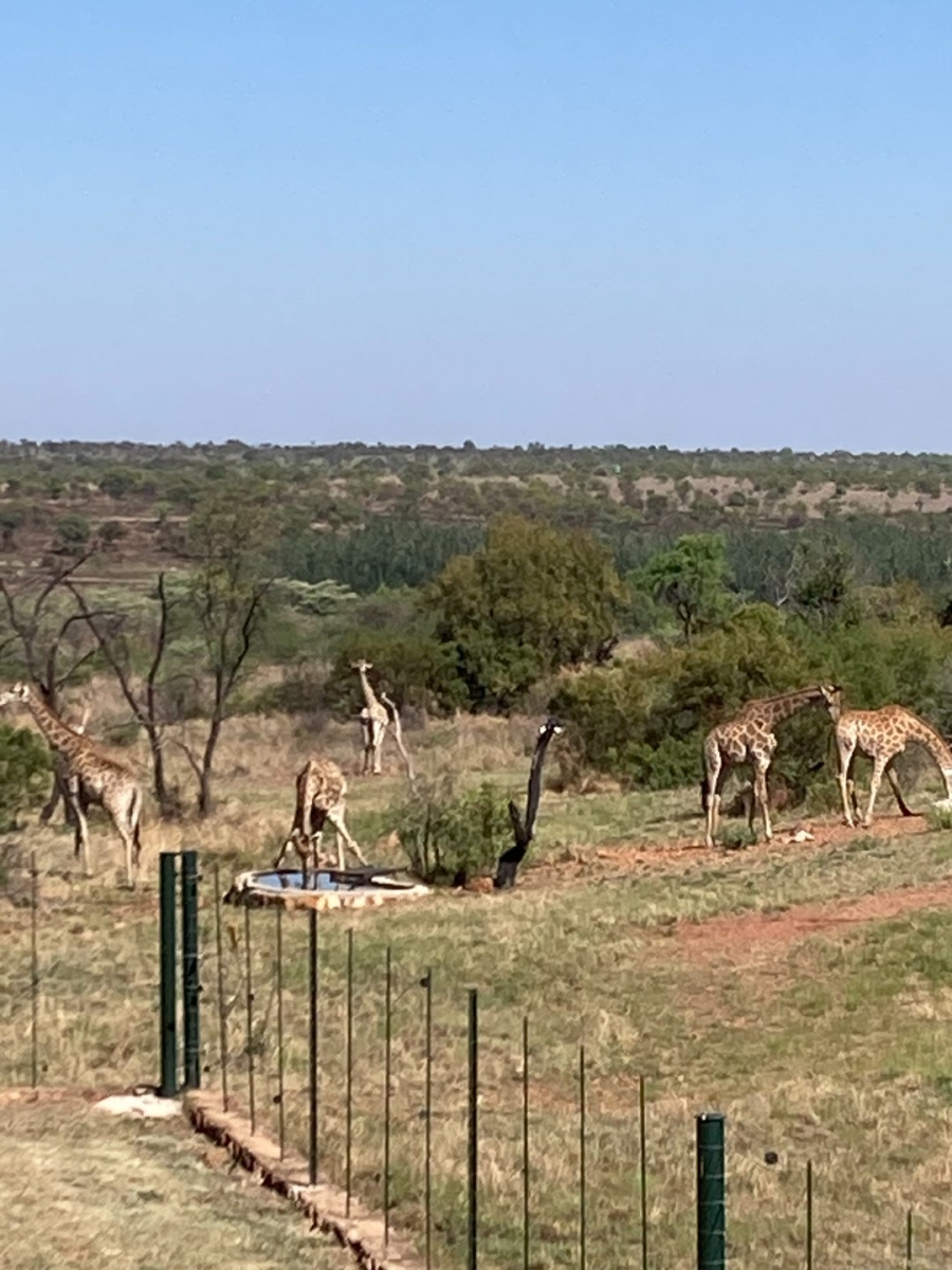 5 Bedroom Property for Sale in Dinokeng Game Reserve Gauteng